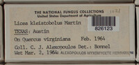 Image Associated With the Occurence